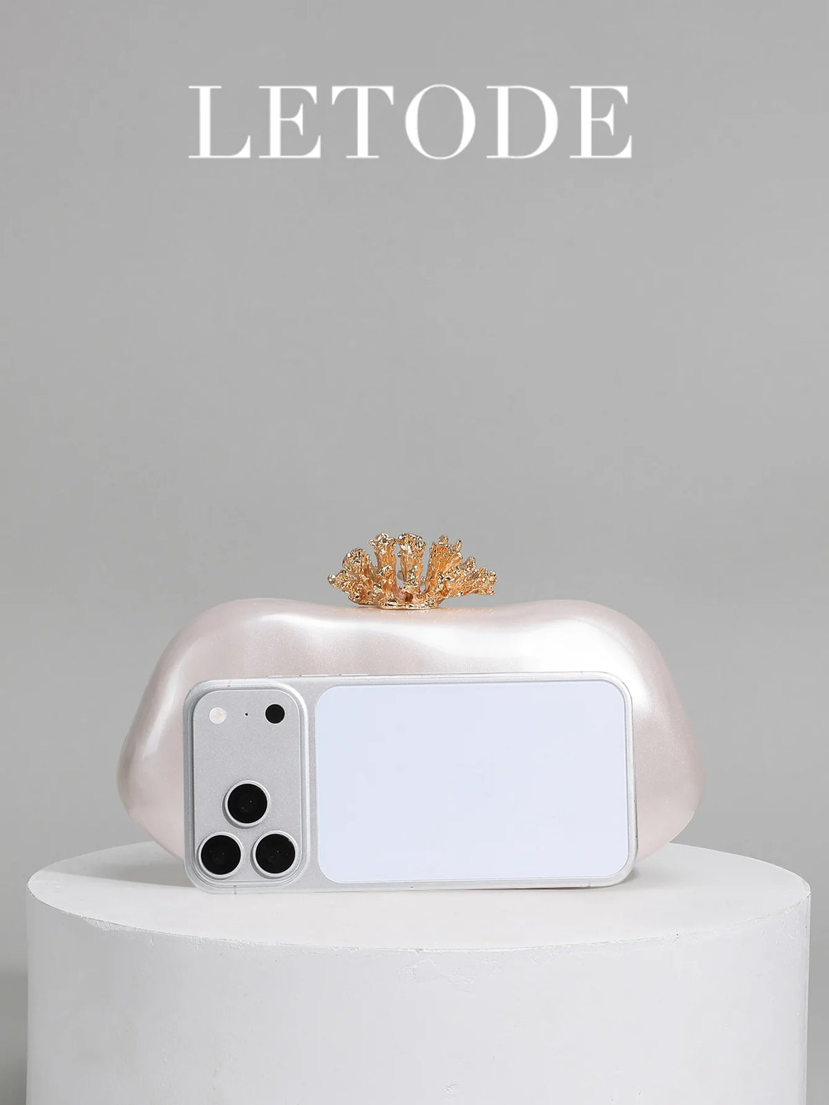 Crown-Clasp Evening Clutch